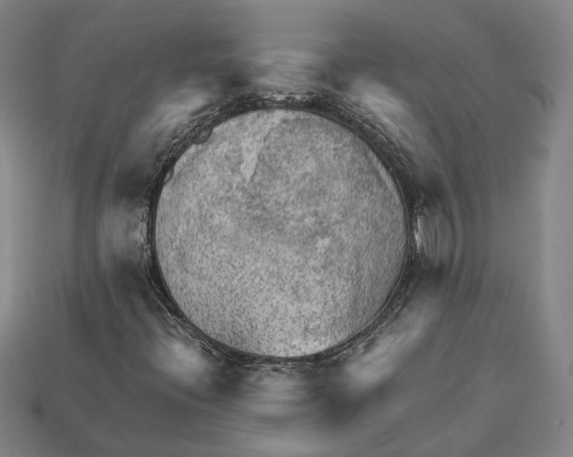 X0000112961396200909241150