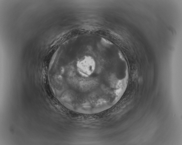 X0000112961397200909241150