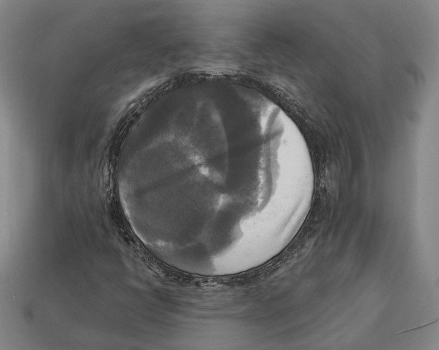 X0000112961398200909241150