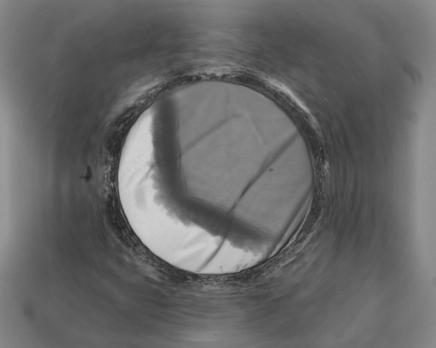 X0000112961399200909241150