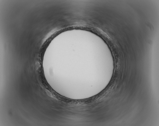 X0000112961400200909241150