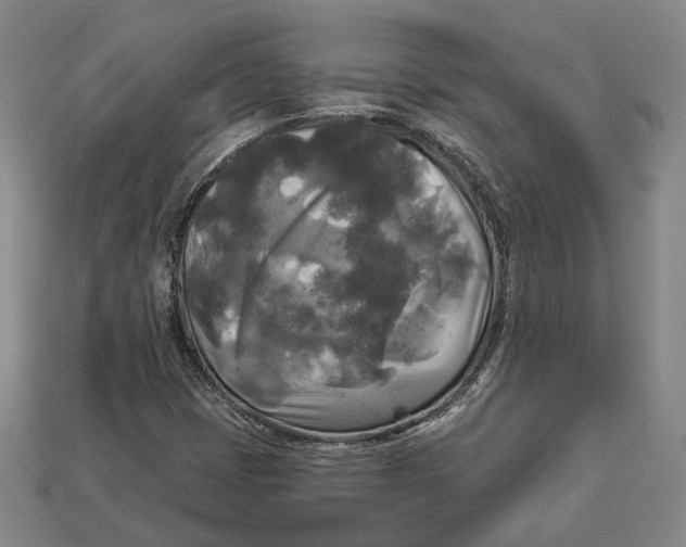 X0000112961401200909241150