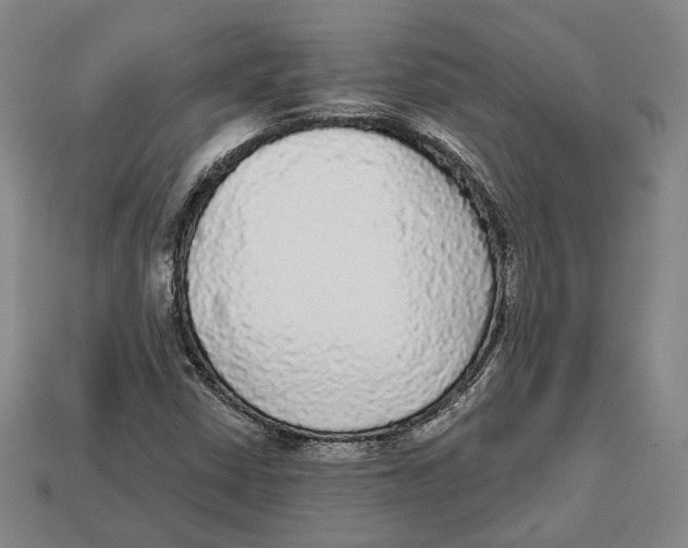 X0000112961402200909241150