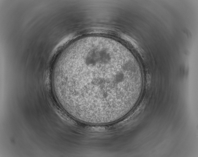 X0000112961403200909241150