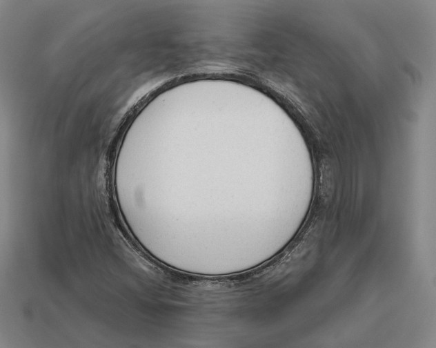 X0000112961404200909241150