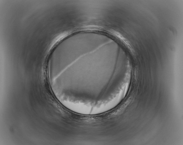 X0000112961405200909241150