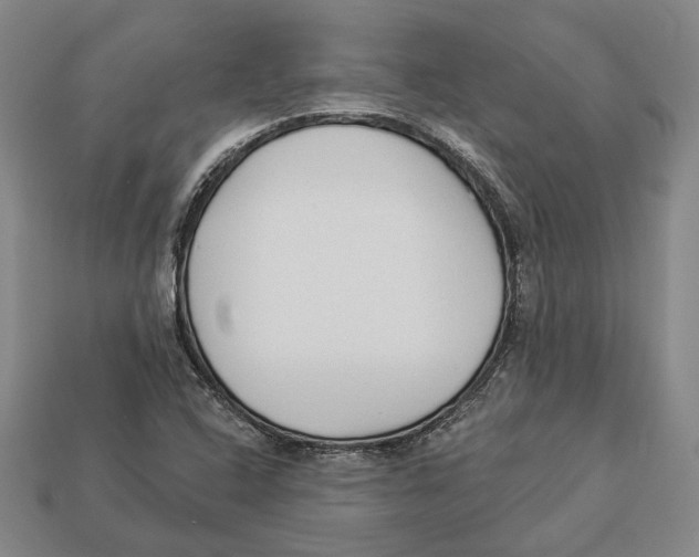 X0000112961408200909241150