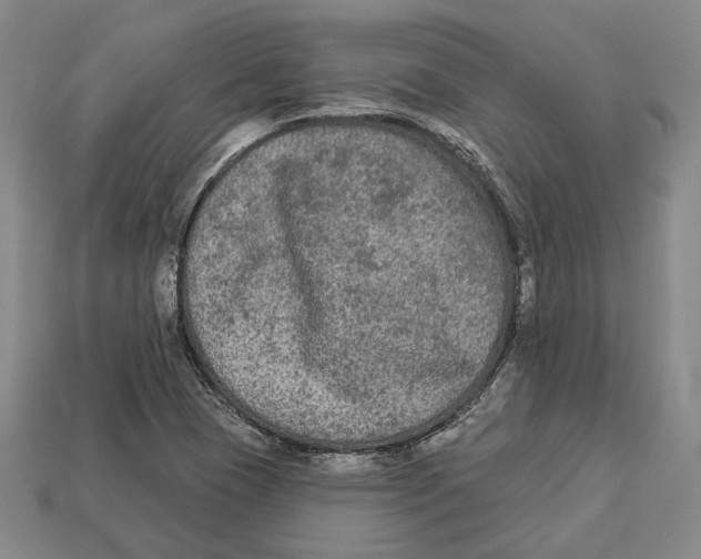 X0000112961409200909241150