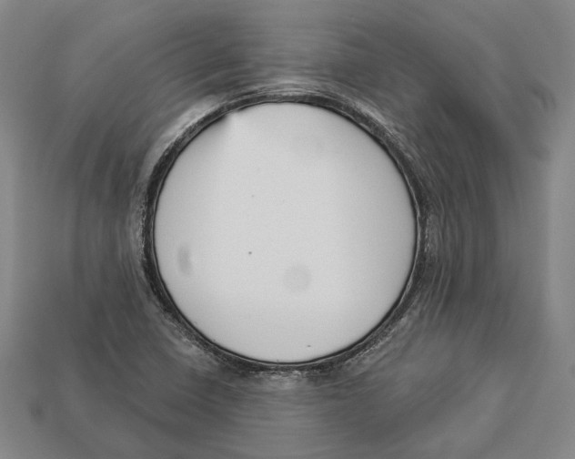 X0000112961410200909241150