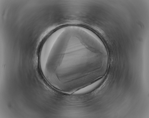 X0000112961414200909241150