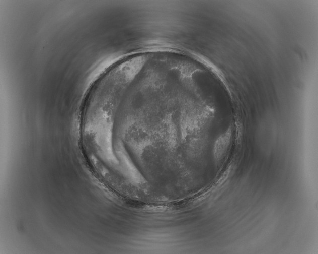 X0000112961415200909241150