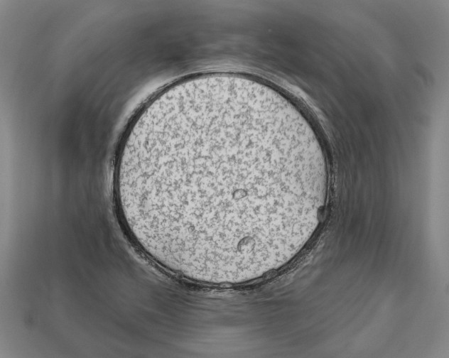 X0000112961416200909241150