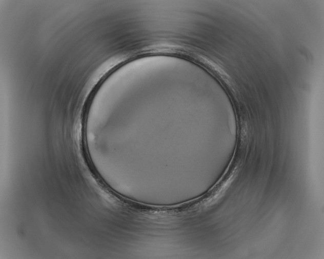 X0000112961418200909241150