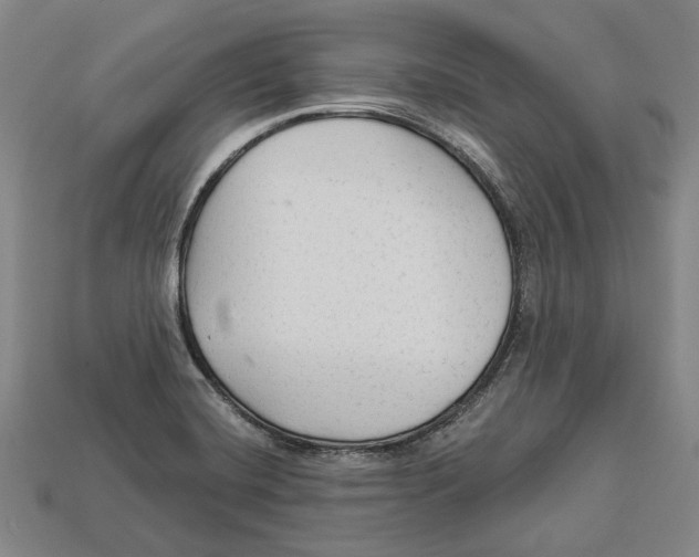 X0000112961420200909241150