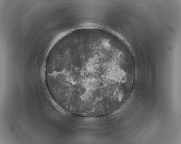 X0000112961421200909241150