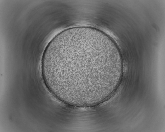 X0000112961423200909241150