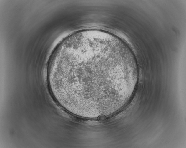 X0000112961424200909241150