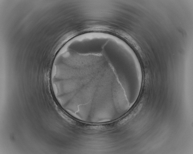 X0000112961425200909241150