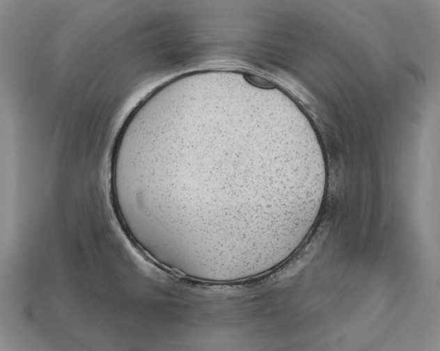 X0000112961430200909241150