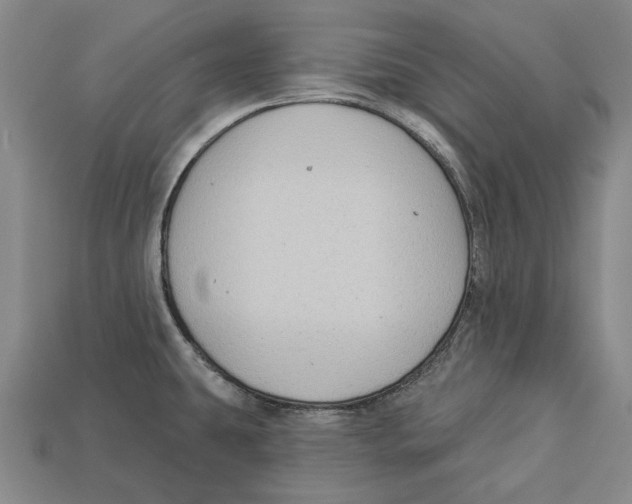 X0000112961431200909241150