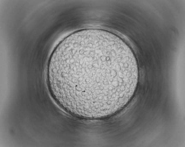 X0000112961432200909241150