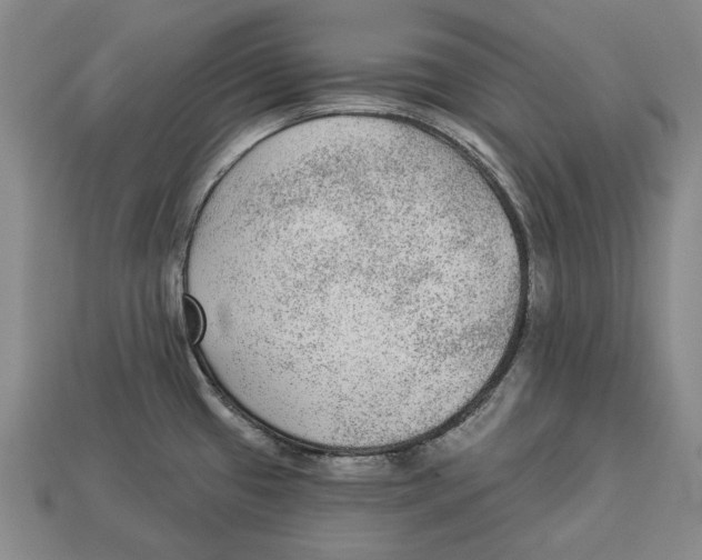 X0000112961433200909241150