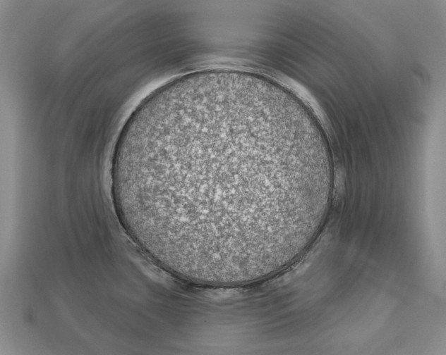 X0000112961435200909241150