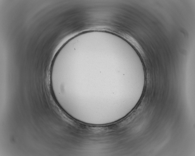 X0000112961436200909241150