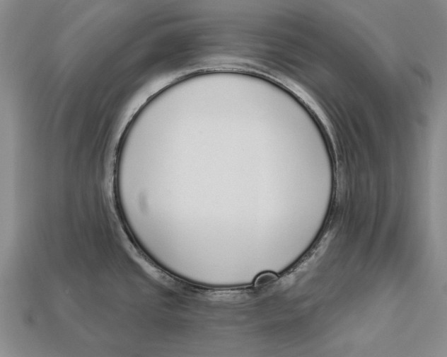 X0000112961437200909241150