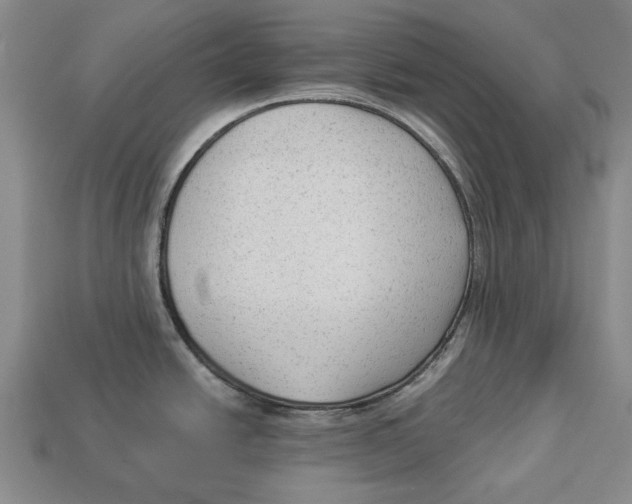 X0000112961438200909241150