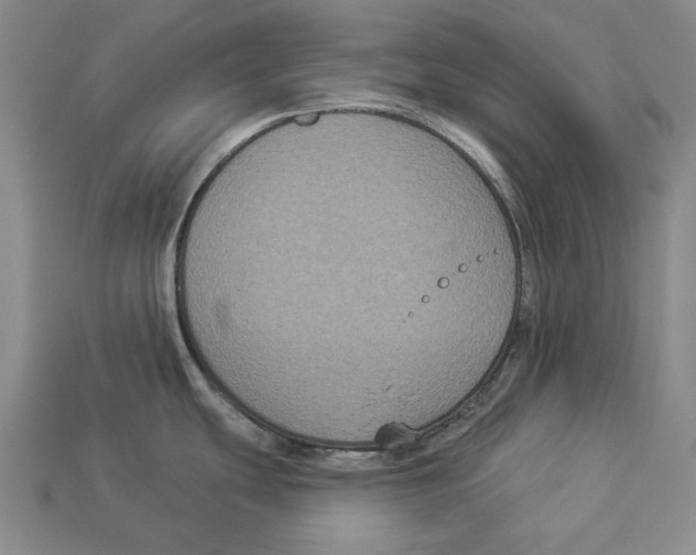 X0000112961439200909241150