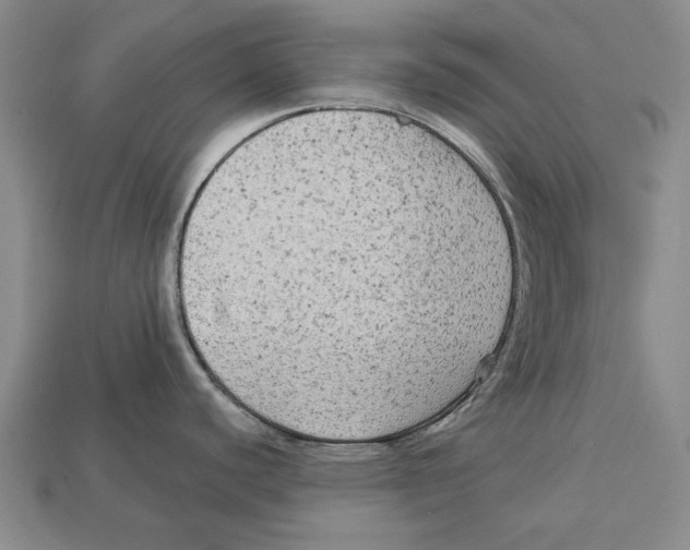 X0000112961440200909241151