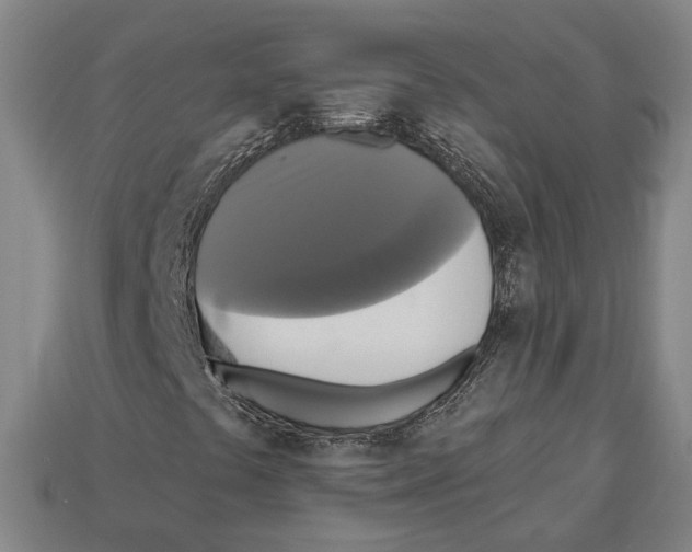 X0000112961441200909241150