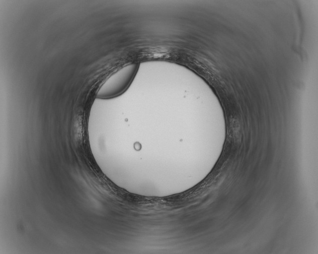 X0000112961442200909241150