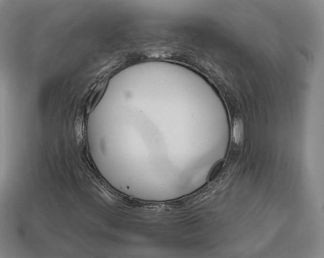 X0000112961444200909241150