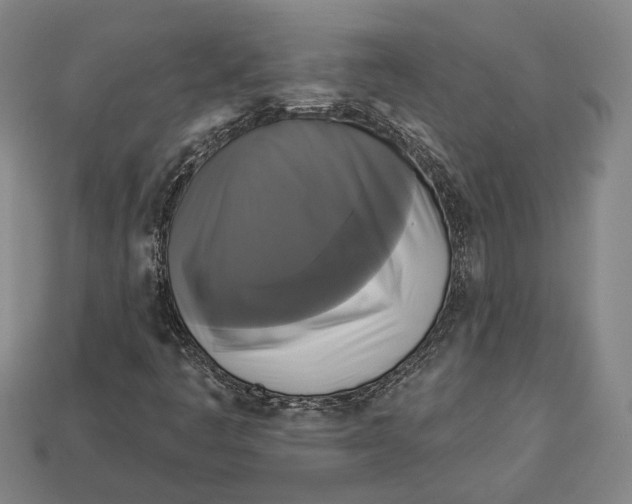 X0000112961445200909241150