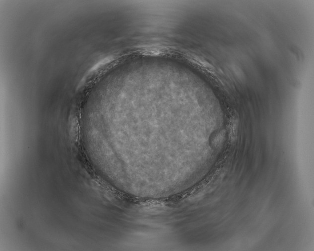 X0000112961446200909241150