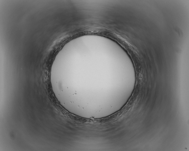 X0000112961447200909241150