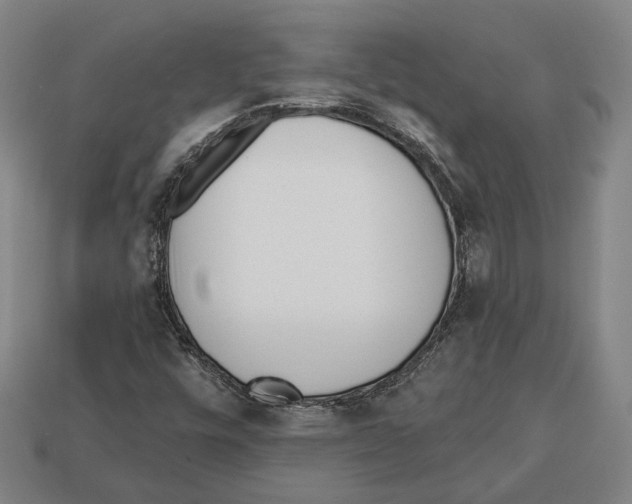 X0000112961448200909241150