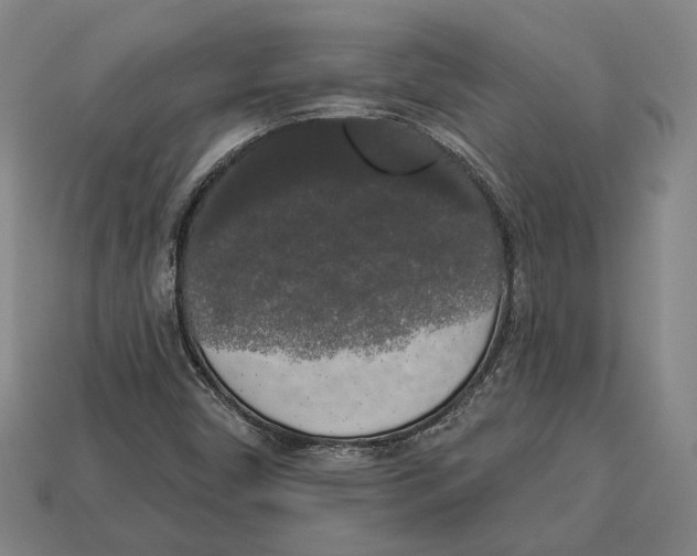 X0000112961450200909241150