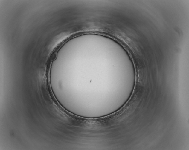 X0000112961452200909241150