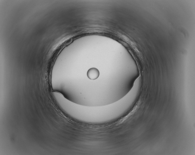 X0000112961453200909241150