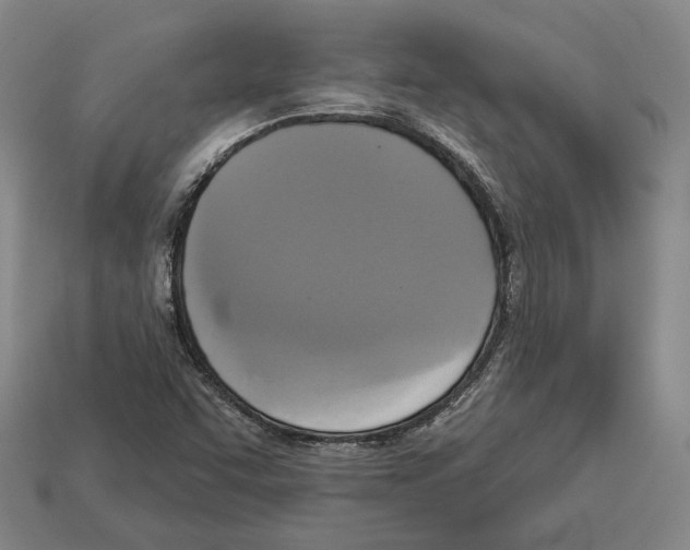 X0000112961455200909241150