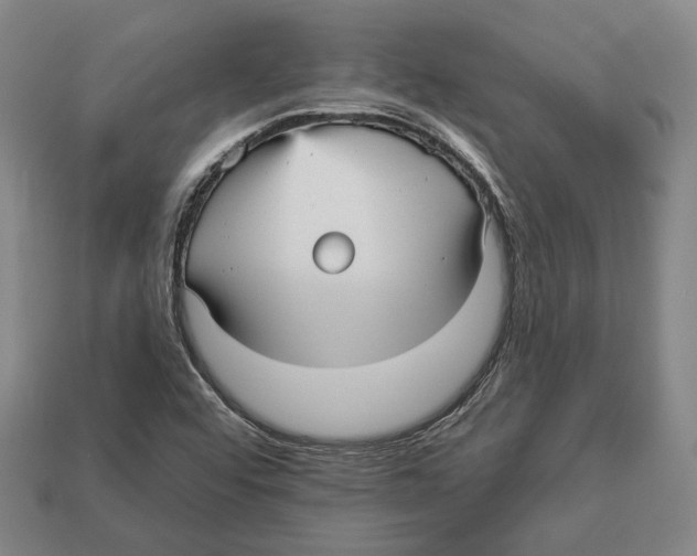 X0000112961456200909241150