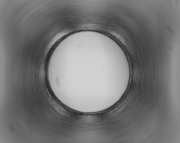 X0000112961458200909241150