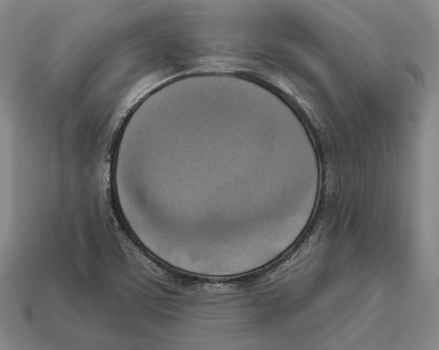 X0000112961459200909241150