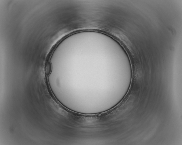 X0000112961460200909241150