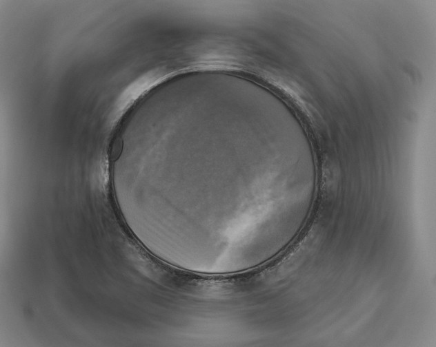 X0000112961461200909241150