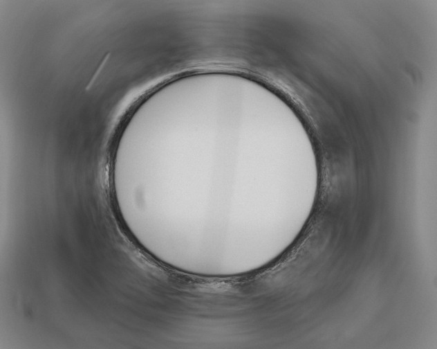 X0000112961462200909241150