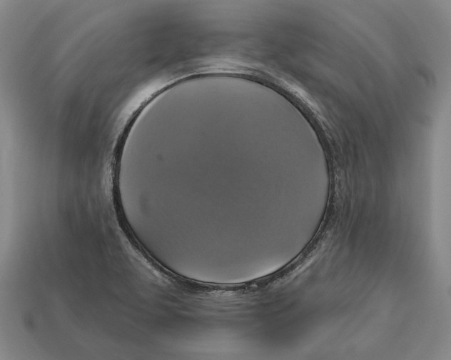 X0000112961463200909241150